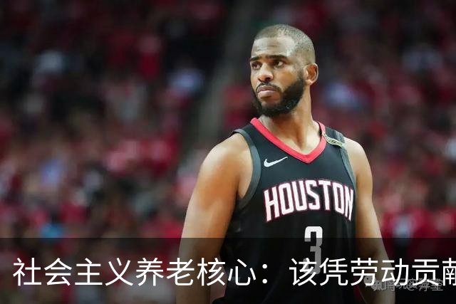 社会主义养老核心：该凭劳动贡献定待遇，绝不该按资本多少分高低